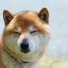 norifuji