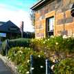 sharneynme