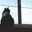せいてん