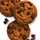 chocochipcookie chocochipcookie