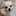 なな20060310 なな20060310