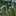 ForestNY ForestNY