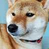 たろグレ