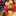 Cocoro_258 Cocoro_258