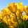 虹のカケラ♪ 虹のカケラ♪