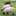 spitze spitze