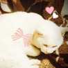 yukismile yukismile