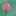 りのひろ りのひろ