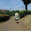 vゆずママv