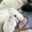 sora_888