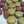 ぶーてん☆