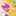 はなびより0814 はなびより0814