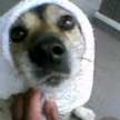 ★mikipon★