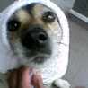 ★mikipon★