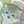にゃんちゃまっ