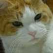 kie