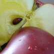 venus_taste