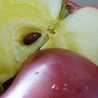 venus_taste