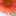 miisan7080 miisan7080