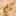 moet0429 moet0429