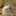 しろぷん39