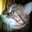 bettycats