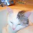 Pookie0403