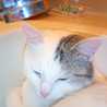 Pookie0403