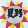 夏野太陽