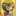 ピエールうめ