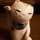 ねこ原ねこ ねこ原ねこ