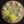 pastis00906