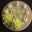 pastis00906