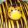 curisupin