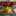 nrkmusic nrkmusic