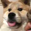 おたもちろ