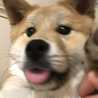 おたもちろ