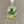 ノークックノー