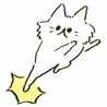 空飛ねこ