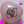 LOVE♡ＢＯＭＢ