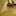 Spoon猫 Spoon猫