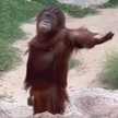 ｑｕｉｃｏ