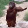 ｑｕｉｃｏ