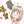 miyo・