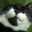 nonyan