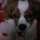axry