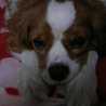 axry
