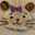 子猫まんま