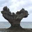 kazumira
