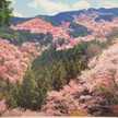 Satokaママ